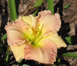Neal Berrey 5 M 18 $6