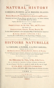 Title Page