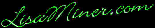 LisaMiner.com