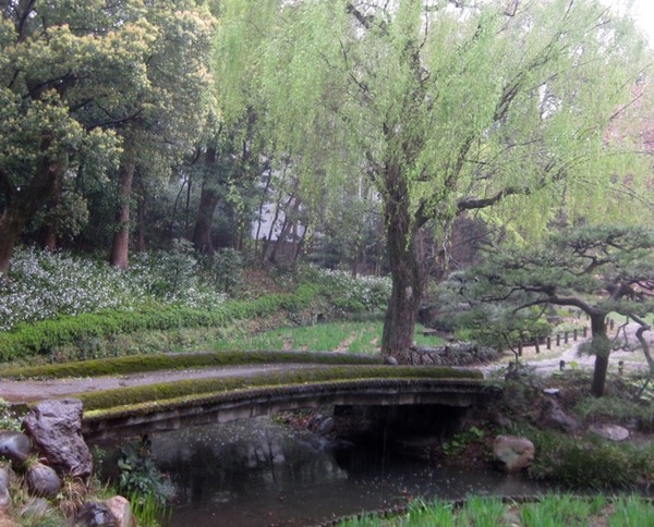 Bridge