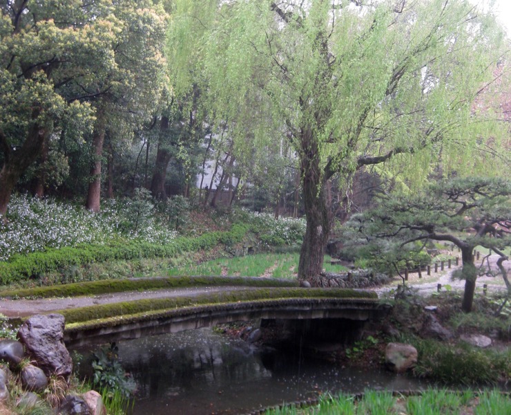 Bridge