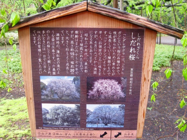 Cherry tree sign