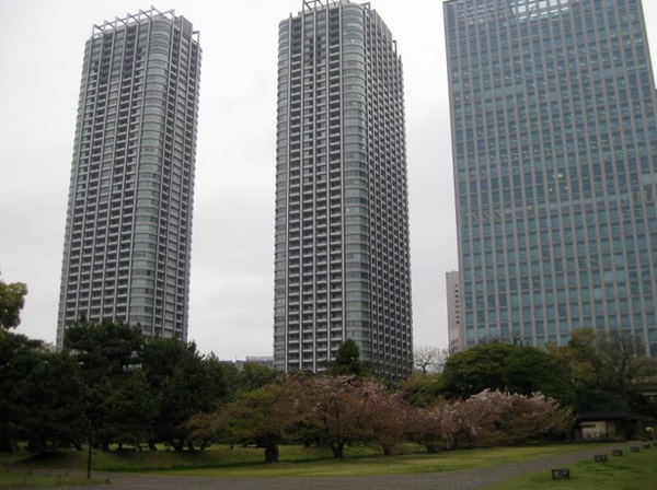 Cherry trees and skyscrapers