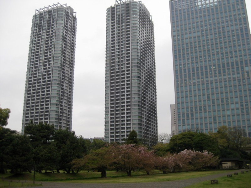 Cherry trees and skyscrapers