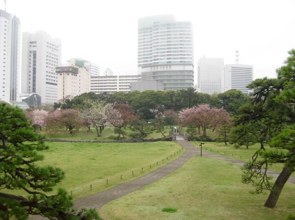 From Ochin towards fujimi