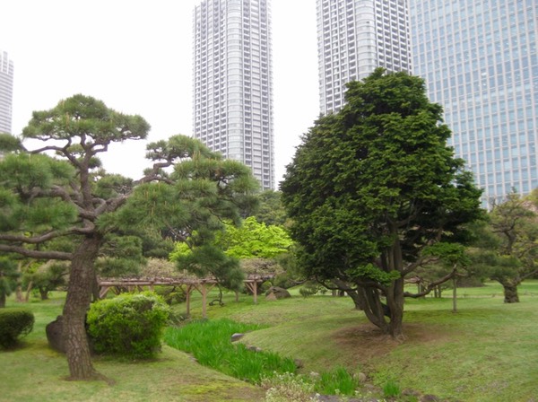 Hama-rikyu