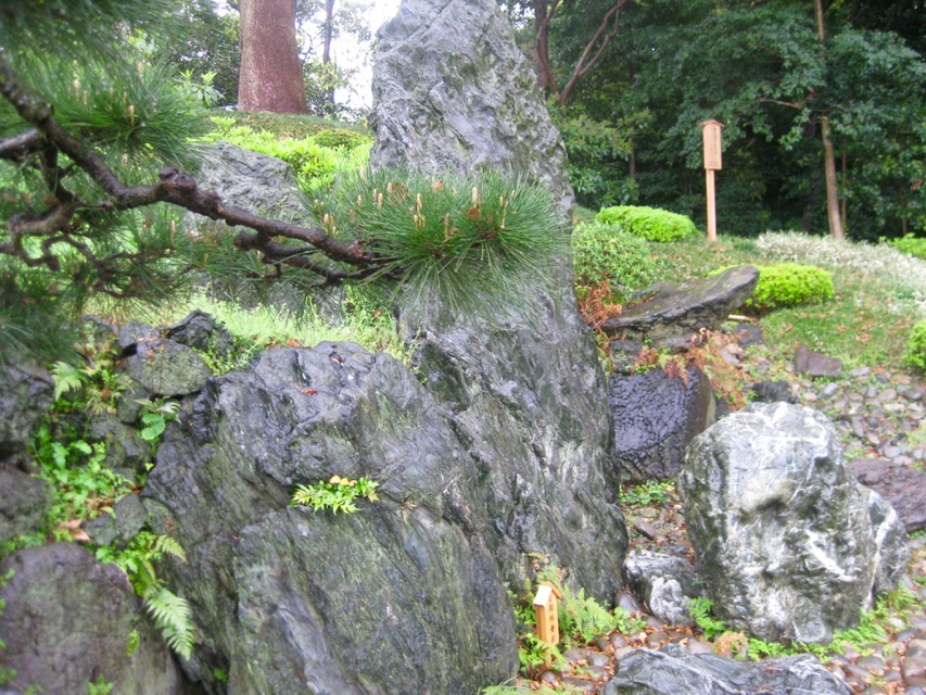 Karetaki Formation