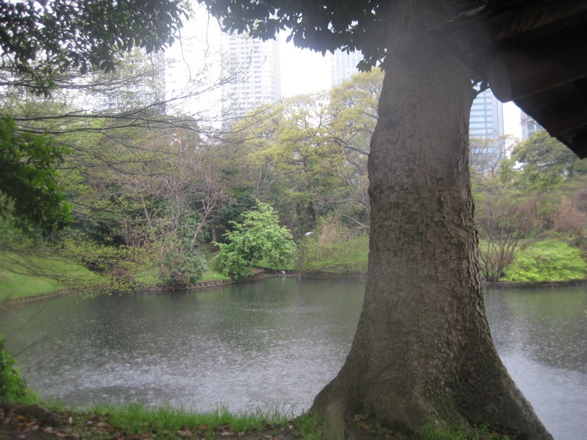 Koshin-do pond