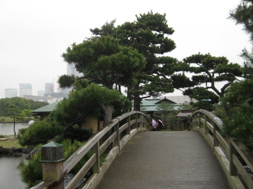On Nakajima Bridge