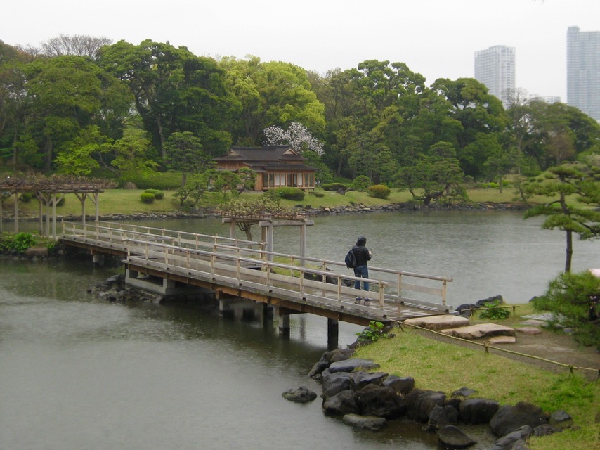 Pine teahouse