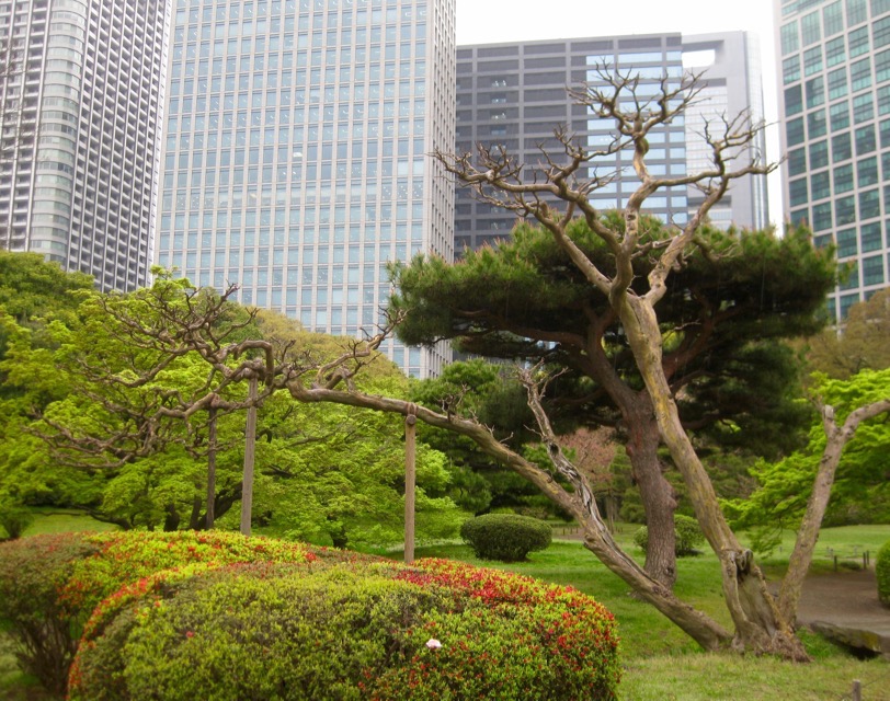 Posts hold up branches