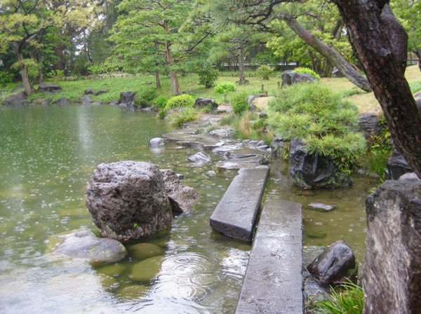 Stepping stone bridge