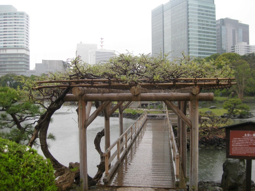 wisteria bridge