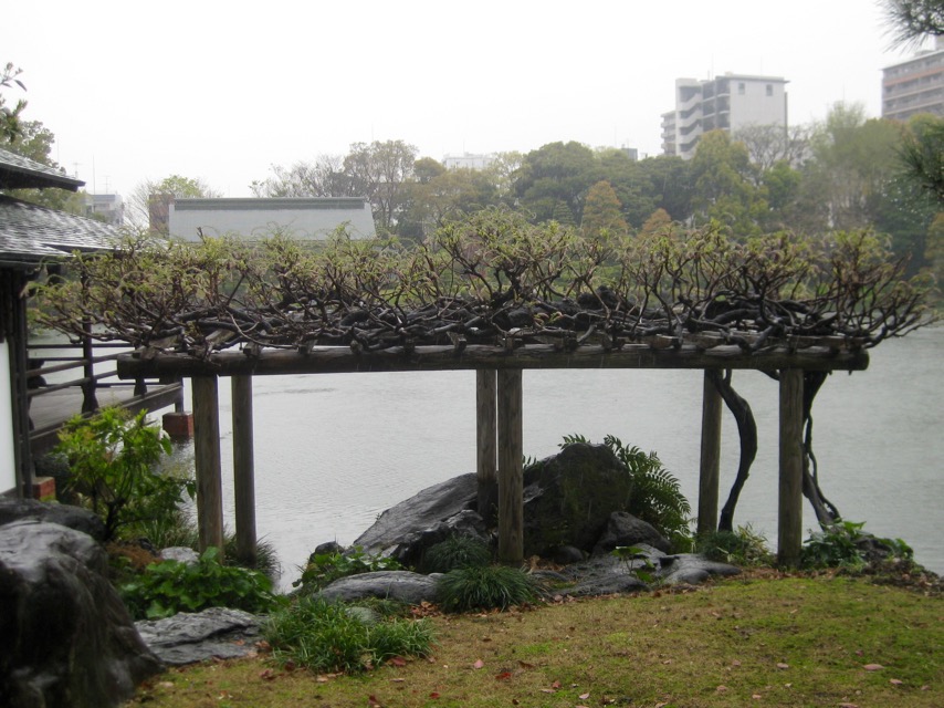 Wisteria trellis mext to Ryotei