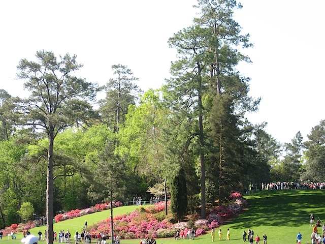 Hole 6 - Juniper