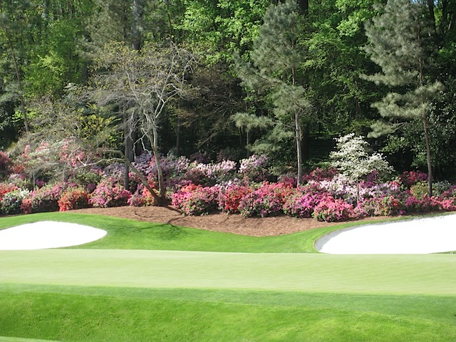 Hole 13 - Azalea