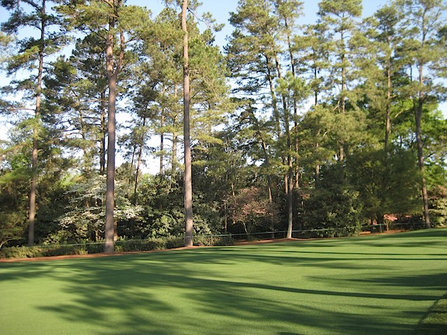 Hole 2 - Pink Dogwood