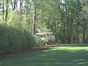 Hole 11 - White Dogwood