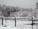 Pool Fence