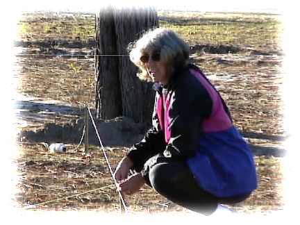 Lisa helping to stake the lot.