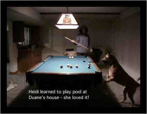 Heidi plays pool