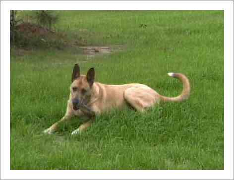 Heidi's favourite spot