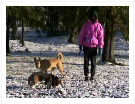 Lisa and the dogs in the snow