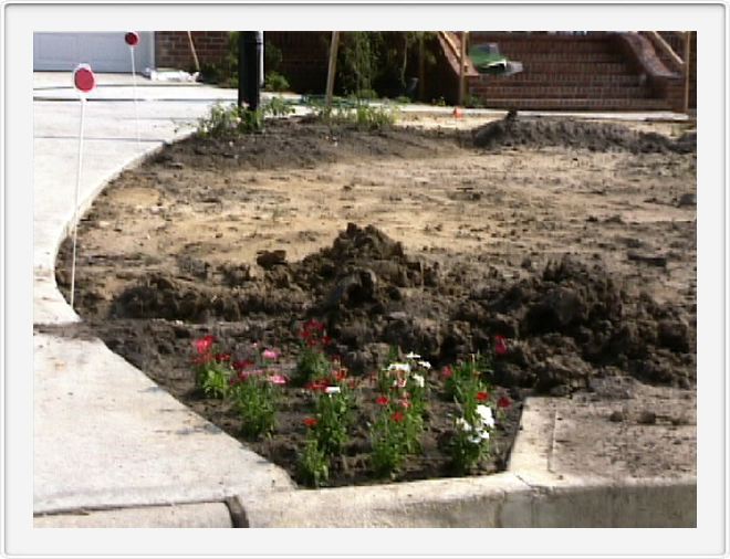 Flowers and mud