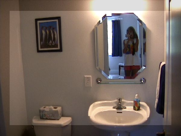 Guest bathroom with Lisa in the mirror