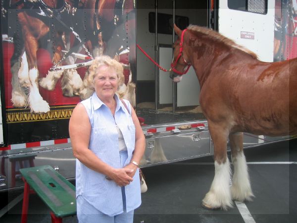 Eloise and the Clydesdale