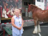 Eloise and the Clydesdale