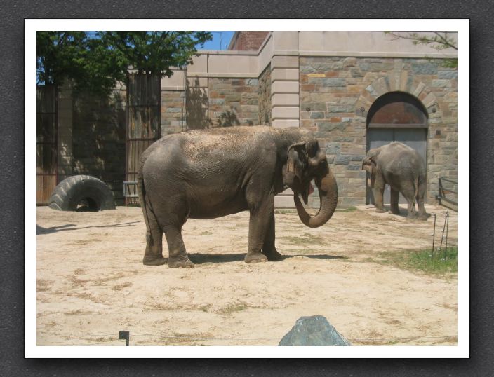 A Republican convention at the National Zoo?