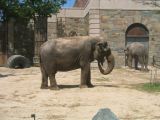 A Republican convention at the National Zoo?