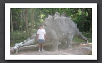 Stegosaurus and Steve