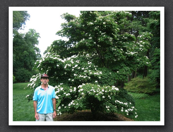 Steve at National Arboretum