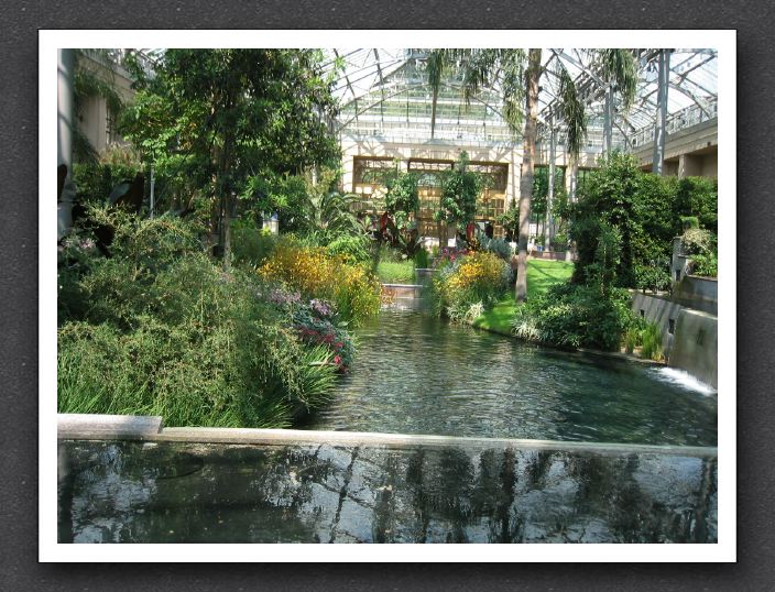 Inside the Conservatory