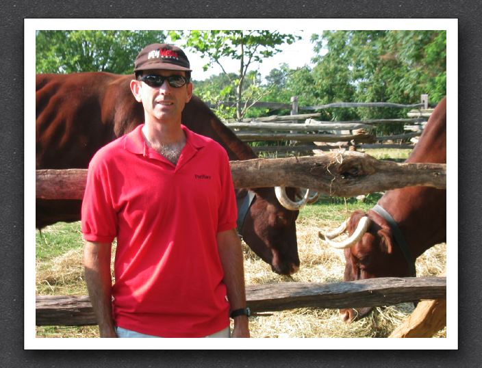 Steve with oxen