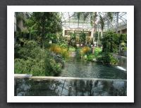 Inside the Conservatory