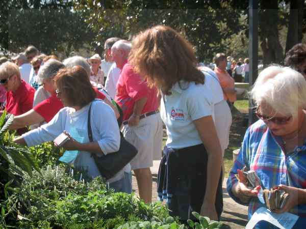 Plant sale