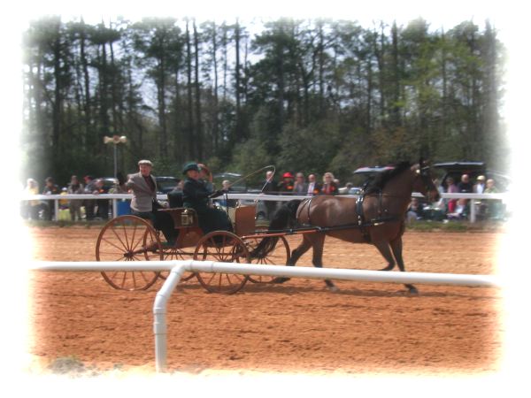 1 horse cart