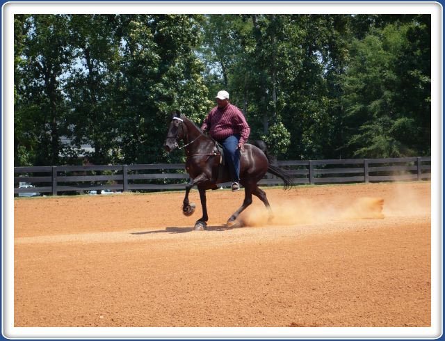 Big horse, bigger rider