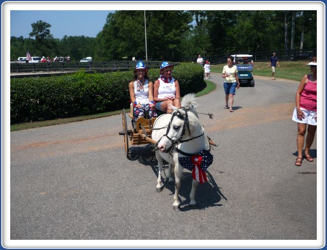 Lisa would like one of these