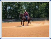 Big horse, bigger rider