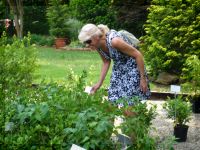 Selecting Plants