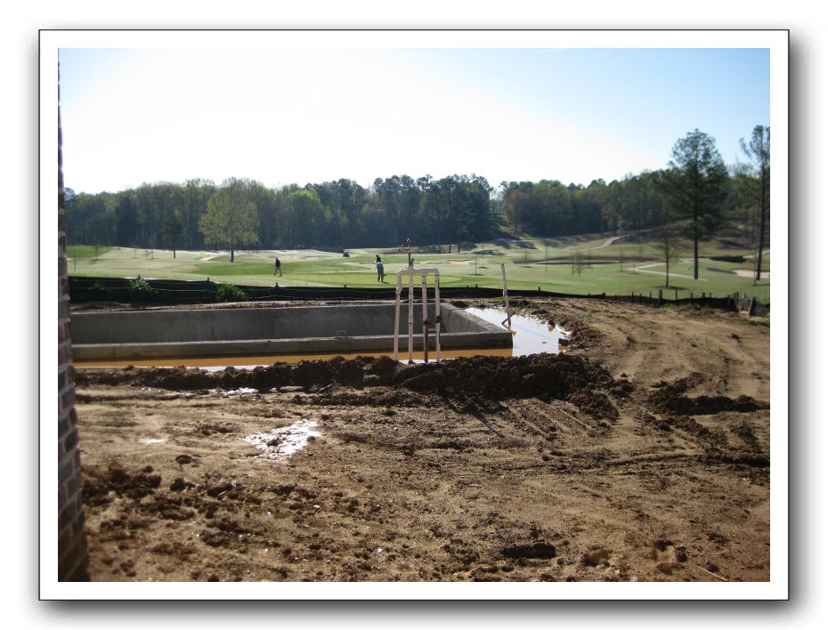 Swimming pool and pond