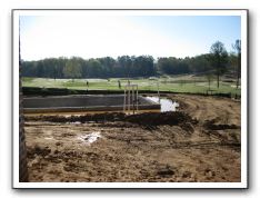 Swimming pool and pond