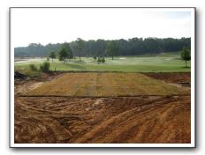 Croquet lawn just after installation