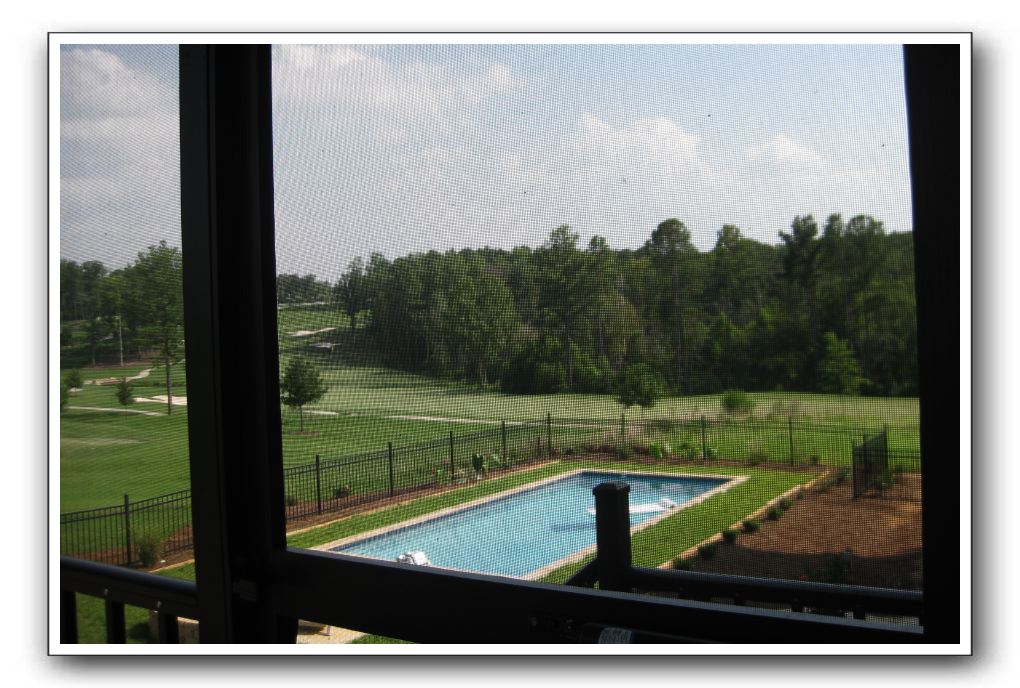 Pool from the screen porch
