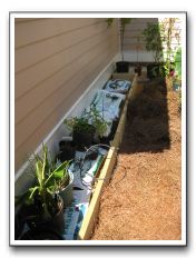 First raised bed in the courtyard