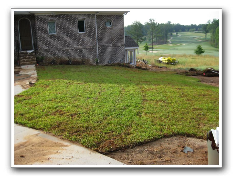 Front lawn back in place